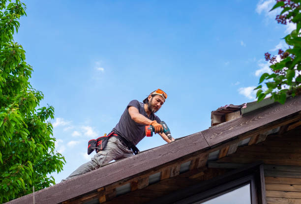 Best Storm Damage Roof Repair  in Oakland Park, FL