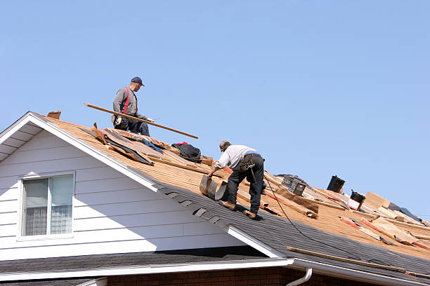 Best Roofing for New Construction  in Oakland Park, FL